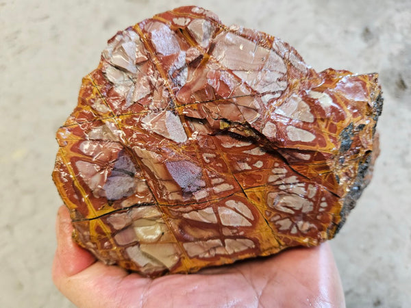 Noreena Jasper rough NJR183