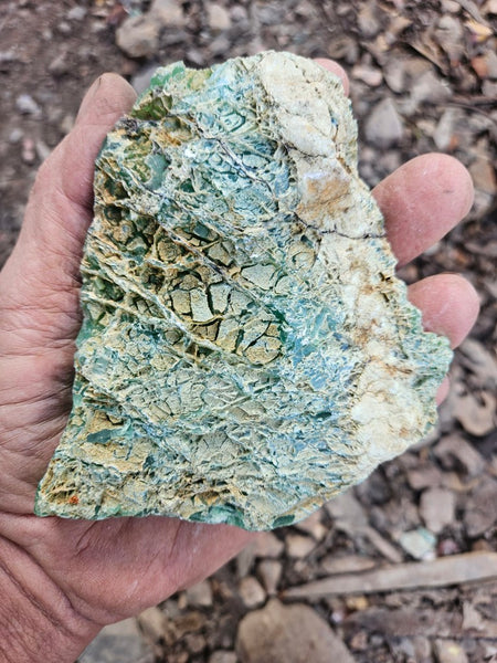 Chrysoprase rough.  CHR 195