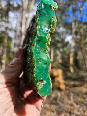Chrysoprase rough.  CHR 195