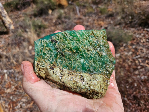 Chrysoprase rough.  CHR 195