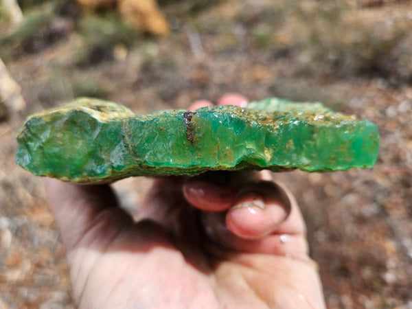Chrysoprase rough.  CHR 195