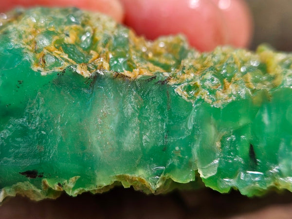 Chrysoprase rough.  CHR 195