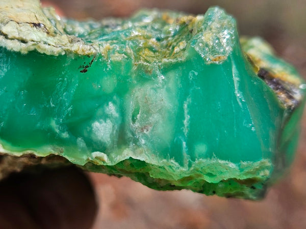Chrysoprase rough.  CHR 195
