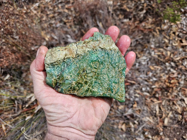 Chrysoprase rough.  CHR 195