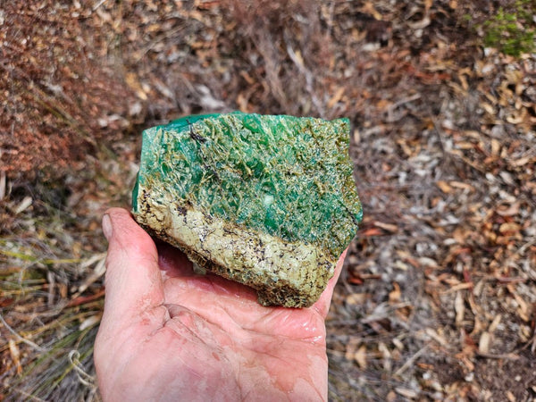 Chrysoprase rough.  CHR 195