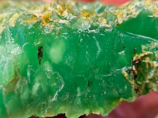 Chrysoprase rough.  CHR 195