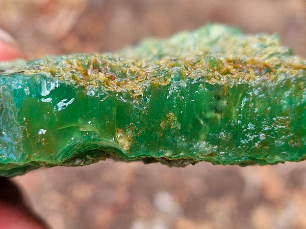 Chrysoprase rough.  CHR 195