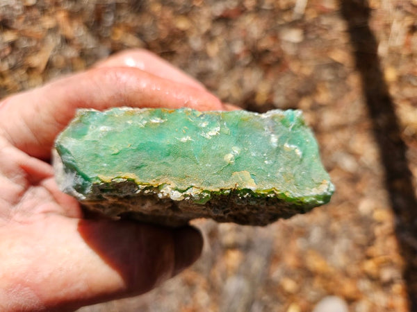 Chrysoprase rough.  CHR 196