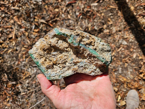 Chrysoprase rough.  CHR 196