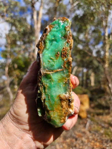 Chrysoprase rough.  CHR 196