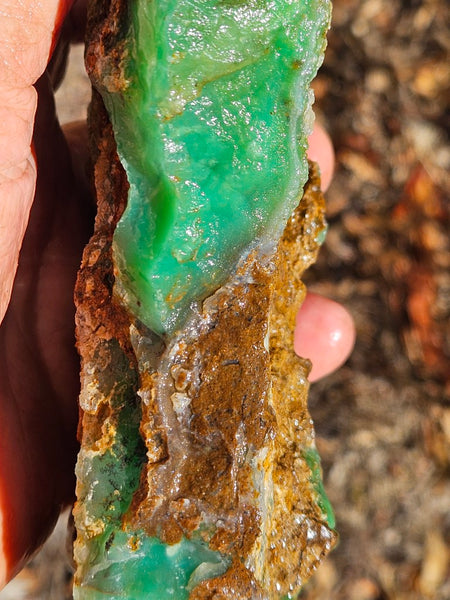 Chrysoprase rough.  CHR 196