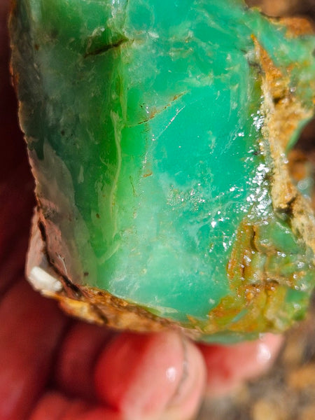 Chrysoprase rough.  CHR 196