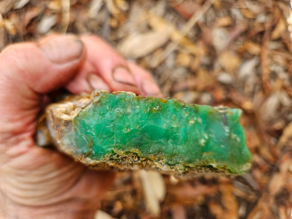 Chrysoprase rough.  CHR 196