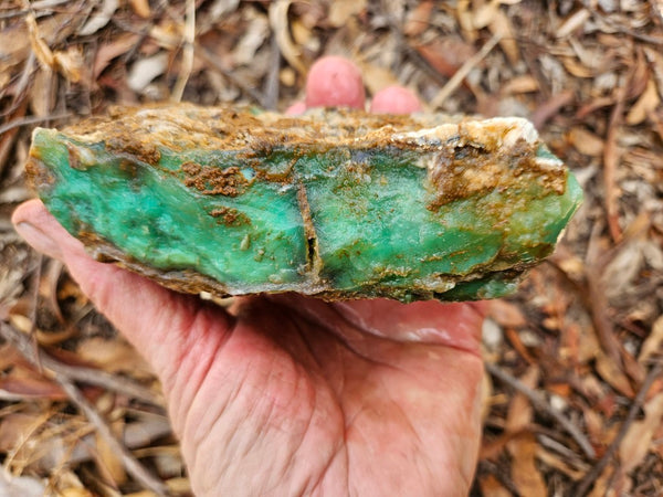 Chrysoprase rough.  CHR 196