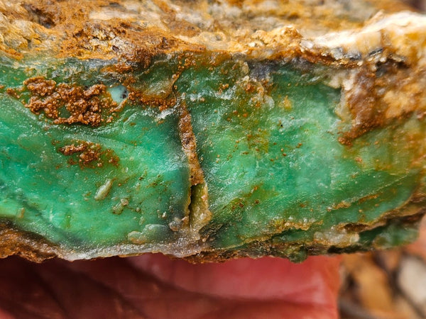 Chrysoprase rough.  CHR 196