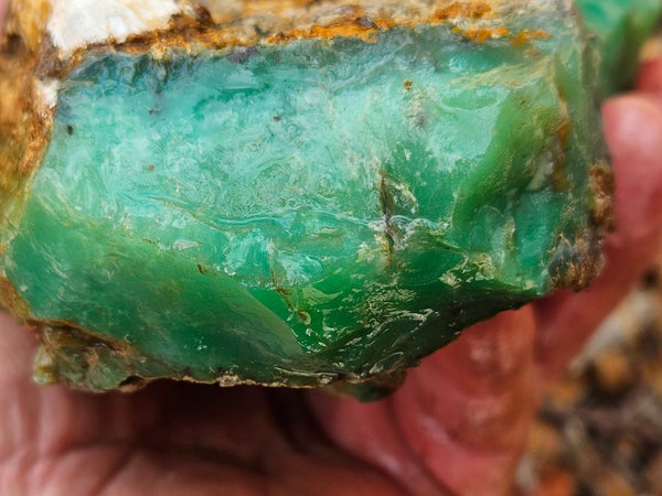 Chrysoprase rough.  CHR 196