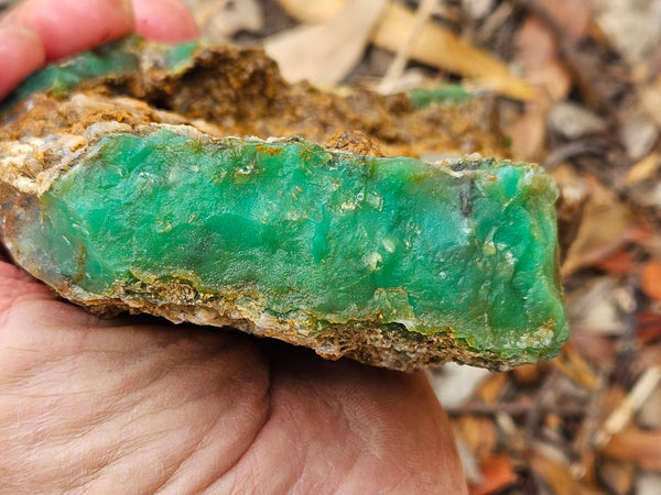 Chrysoprase rough.  CHR 196