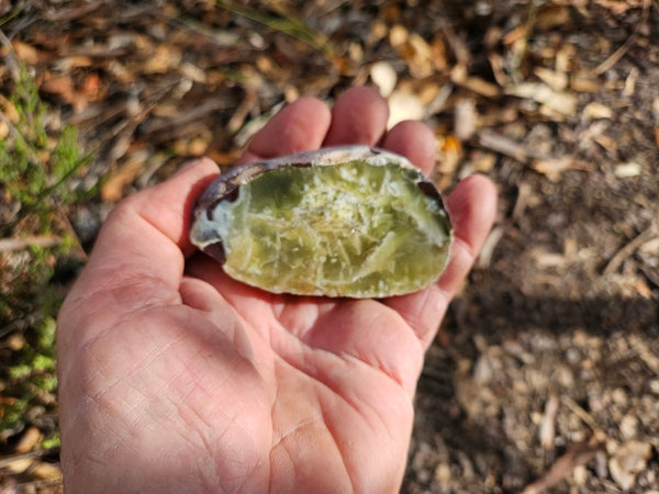 Polished Prehnite PR133