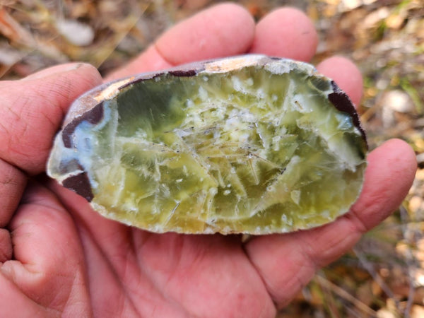 Polished Prehnite PR133