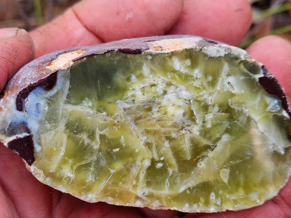 Polished Prehnite PR133