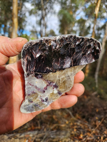 Pegmatite (with Zinnwaldite) PG133