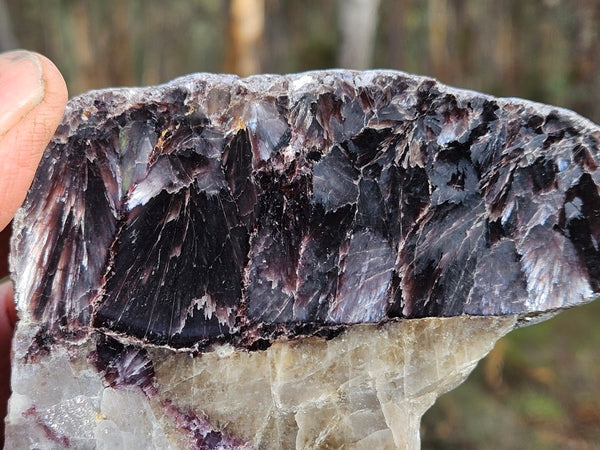 Pegmatite (with Zinnwaldite) PG133