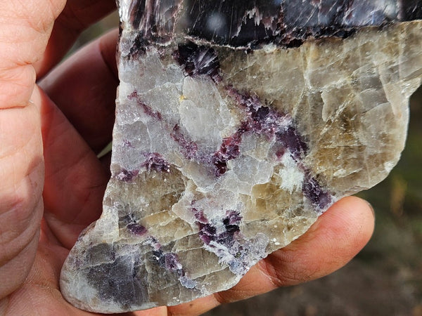 Pegmatite (with Zinnwaldite) PG133