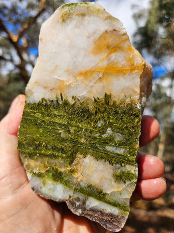 Epidote, Quartz & Axinite EPI79