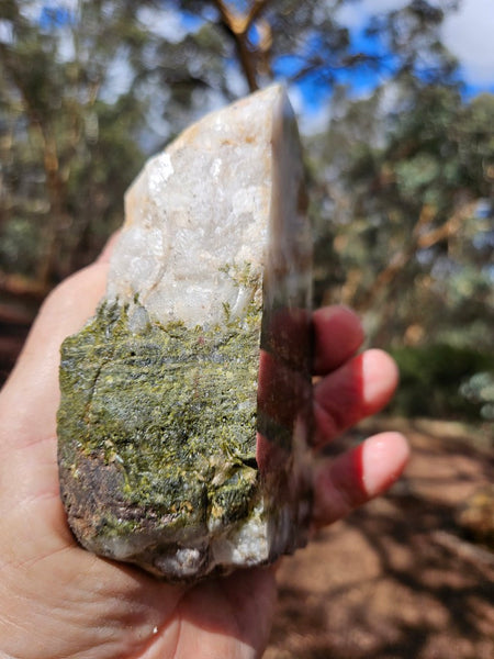 Epidote, Quartz & Axinite EPI79