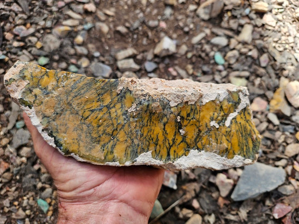 Dendritic Opal  rough.  DOR263