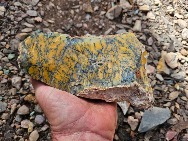 Dendritic Opal  rough.  DOR263