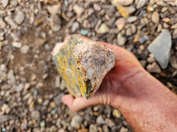 Dendritic Opal  rough.  DOR263