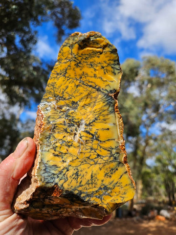 Dendritic Opal  rough.  DOR263