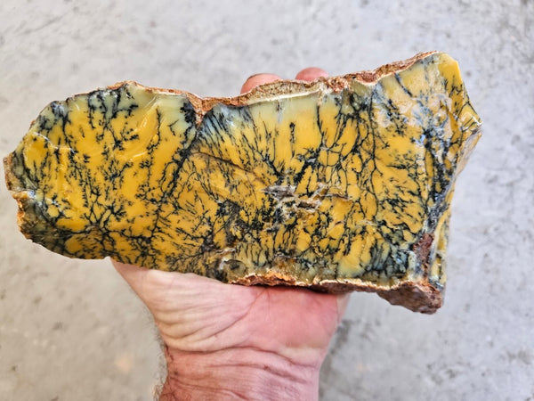 Dendritic Opal  rough.  DOR263