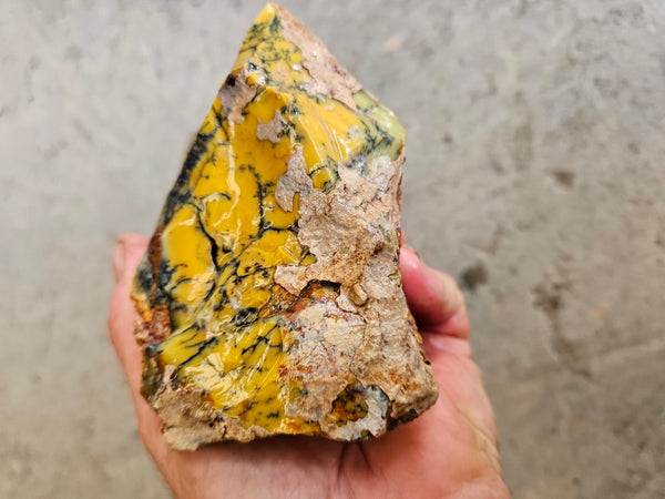 Dendritic Opal  rough.  DOR263