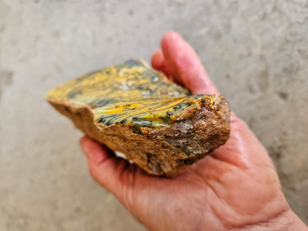Dendritic Opal  rough.  DOR263