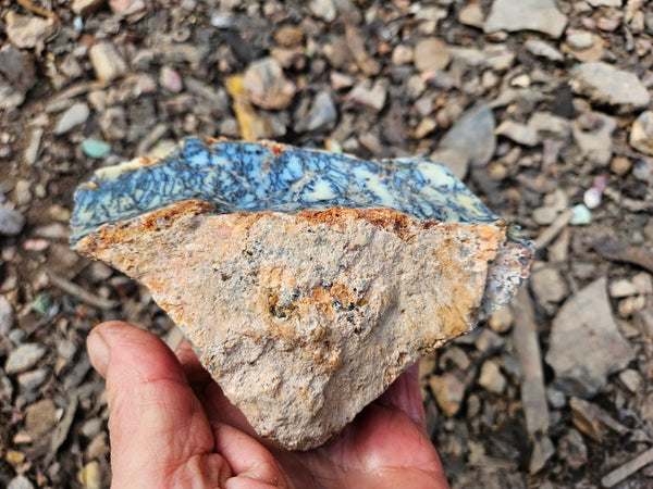 Dendritic Opal  rough.  DOR264