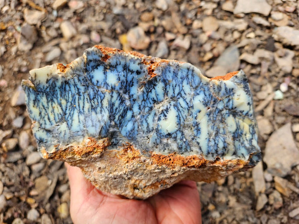 Dendritic Opal  rough.  DOR264