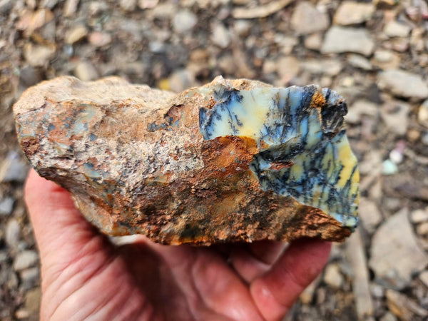 Dendritic Opal  rough.  DOR264