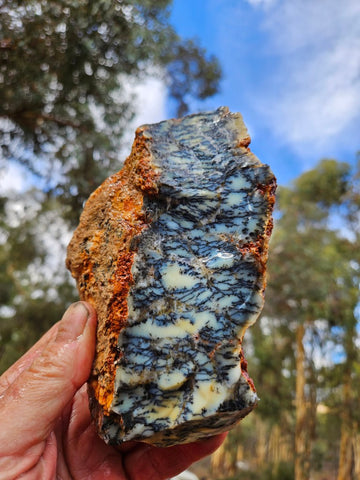 Dendritic Opal  rough.  DOR264