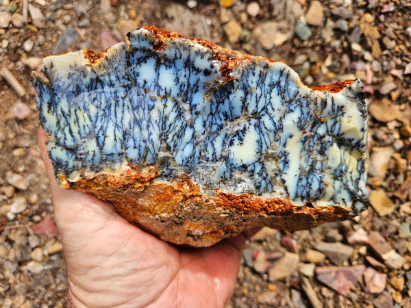 Dendritic Opal  rough.  DOR264