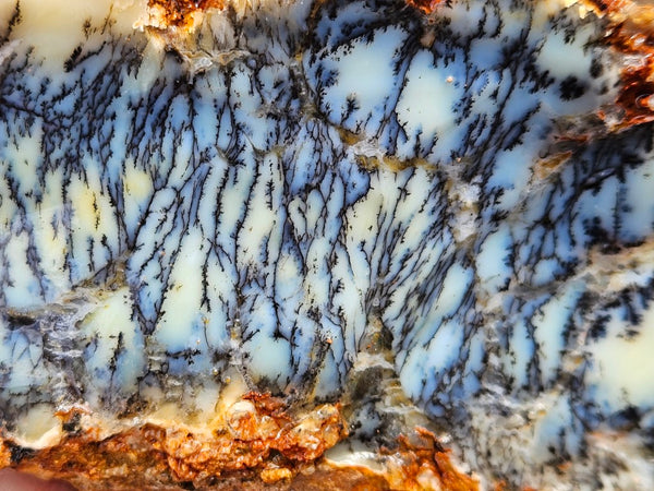 Dendritic Opal  rough.  DOR264