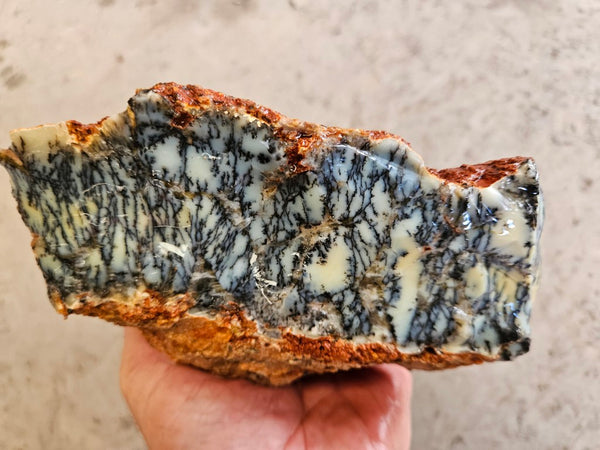 Dendritic Opal  rough.  DOR264