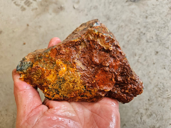 Dendritic Opal  rough.  DOR264