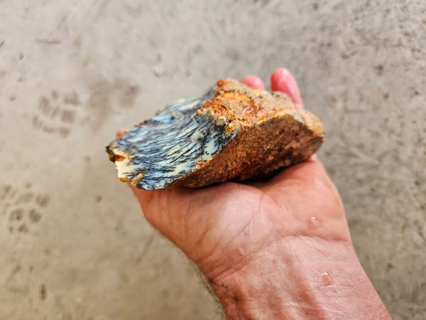 Dendritic Opal  rough.  DOR264