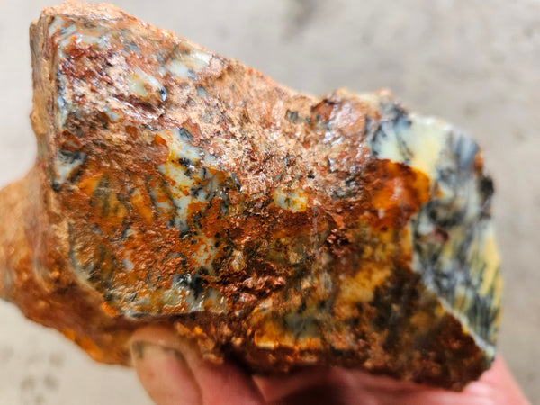 Dendritic Opal  rough.  DOR264