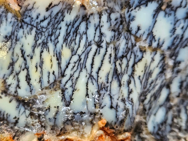 Dendritic Opal  rough.  DOR264