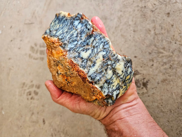 Dendritic Opal  rough.  DOR264