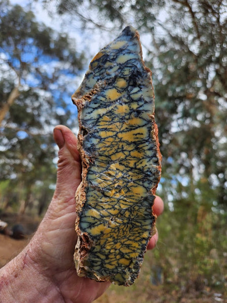 Dendritic Opal  rough.  DOR265