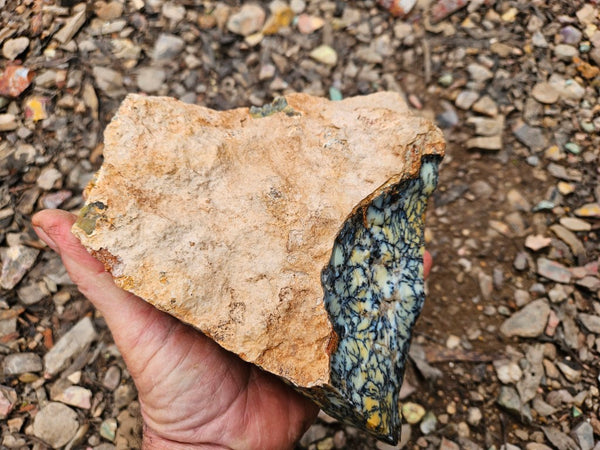 Dendritic Opal  rough.  DOR265
